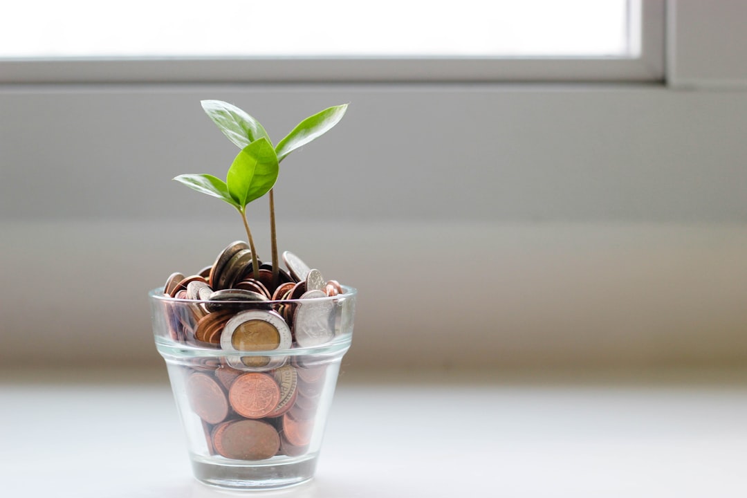 Educação Financeira